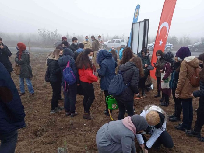 Edirne’de "Tıbbi Aromatik Bitkiler Ormanı" Kuruluyor