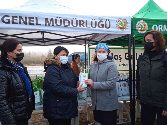 Edirne’de "Tıbbi Aromatik Bitkiler Ormanı" Kuruluyor