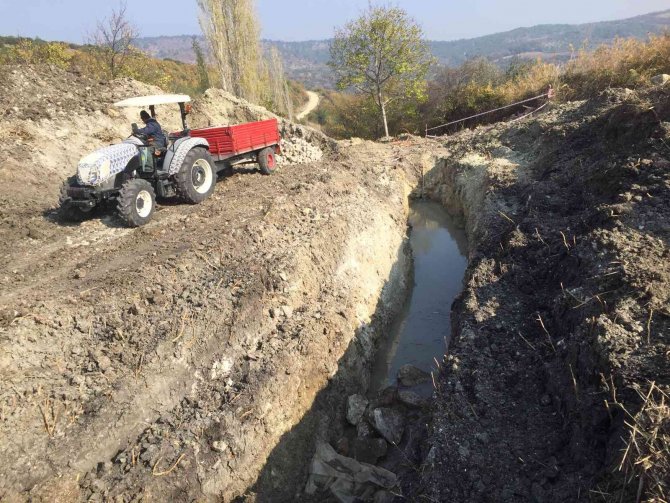 İ̇çme Suyu Hattından 5 Metrelik Ağaç Kökü Çıktı