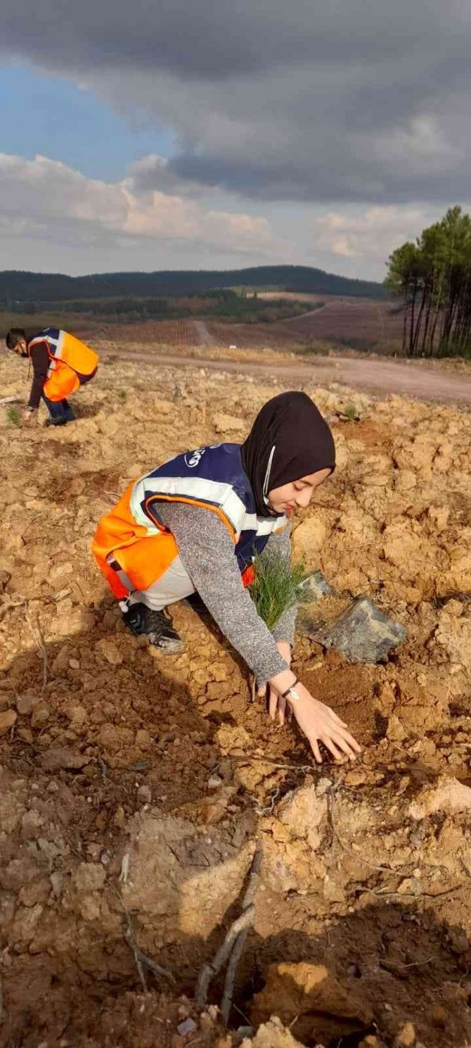 Kartal Belediyesi Ekipleri Fidanları Toprakla Buluşturdu