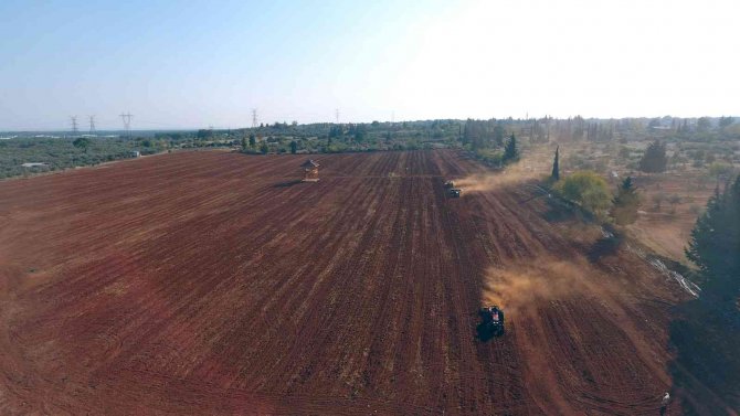 Kepez’de İkinci Hububat Ekiminin De Ürünleri Vatandaşlar İle Paylaşılacak