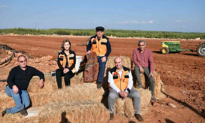 Kepez’de İkinci Hububat Ekiminin De Ürünleri Vatandaşlar İle Paylaşılacak