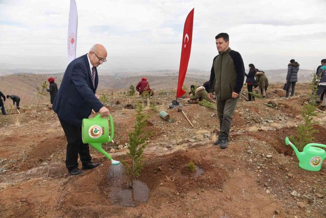 Öğretmenler Hatıra Ormanına Fidan Dikimi Gerçekleştirdi