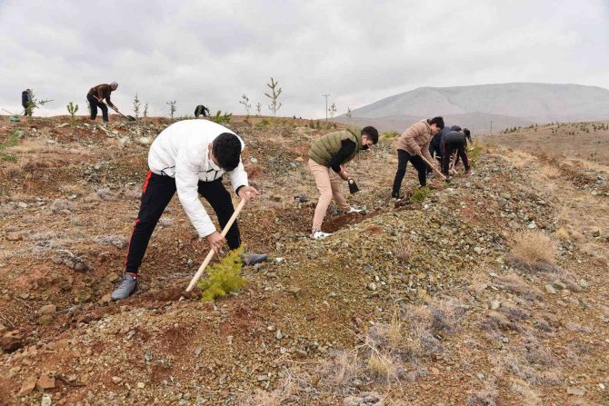 Öğretmenler Hatıra Ormanına Fidan Dikimi Gerçekleştirdi