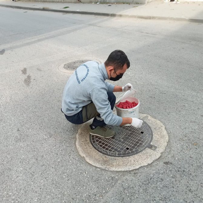 Haşerelere Karşı Mücadele