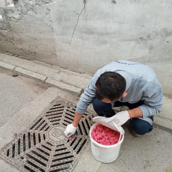 Haşerelere Karşı Mücadele