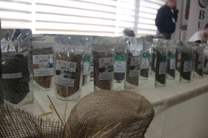 Şanlıurfa’da Tıbbi Ve Aromatik Bitkiler Çalıştayı Başladı