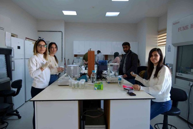 Kenevirde Umutlar Yönetmeliğe Takıldı