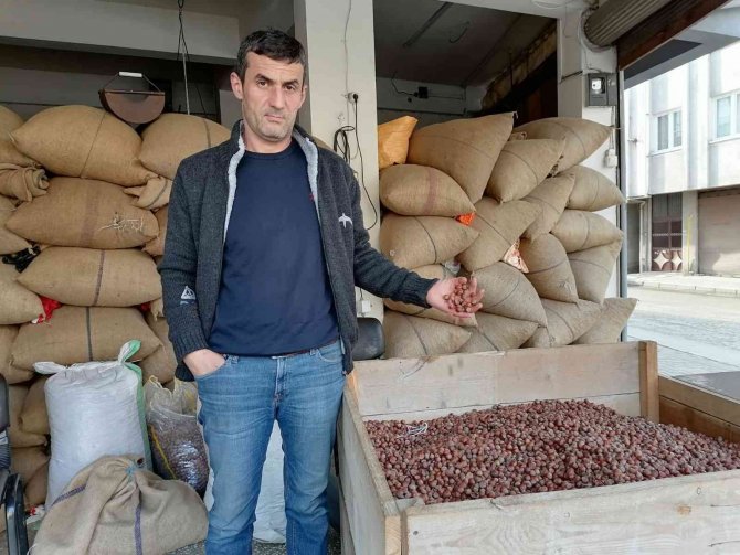 Doların Yükselişi Fındık Fiyatlarını Hareketlendirdi