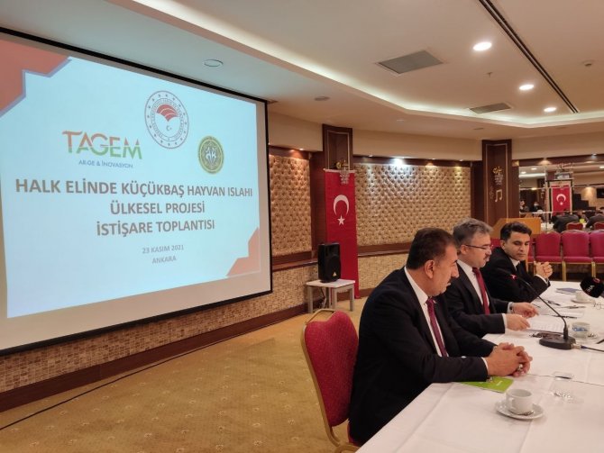 Halk Elinde Küçükbaş Hayvan Islahı Ülkesel Projesi Hakkında Toplantı Düzenlendi