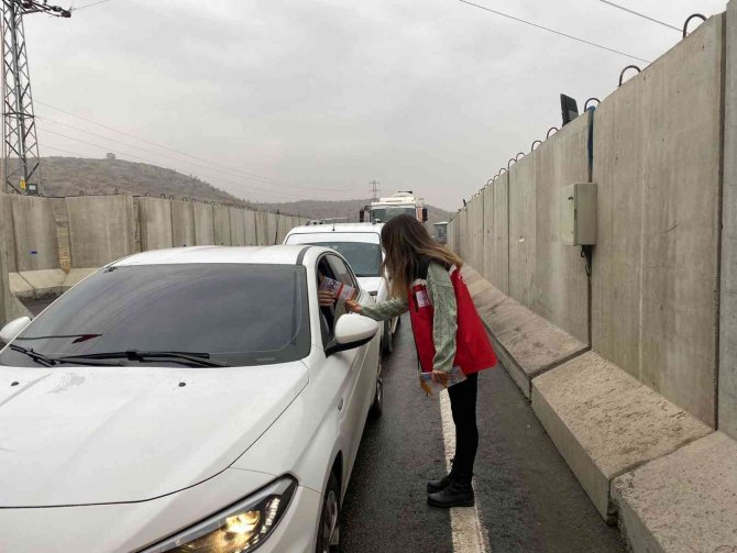 Bingöl’de Kadına Yönelik Şiddete Dikkat Çekmek Amacıyla Broşür Dağıtıldı