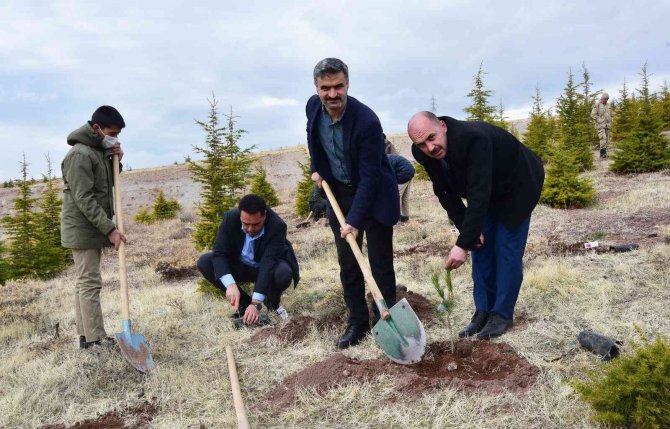 Ahlat’ta Şehit Öğretmenler Anısına Fidan Dikildi