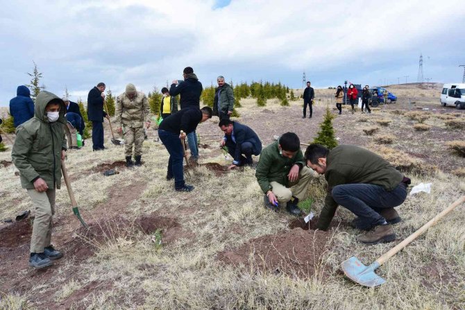 Ahlat’ta Şehit Öğretmenler Anısına Fidan Dikildi