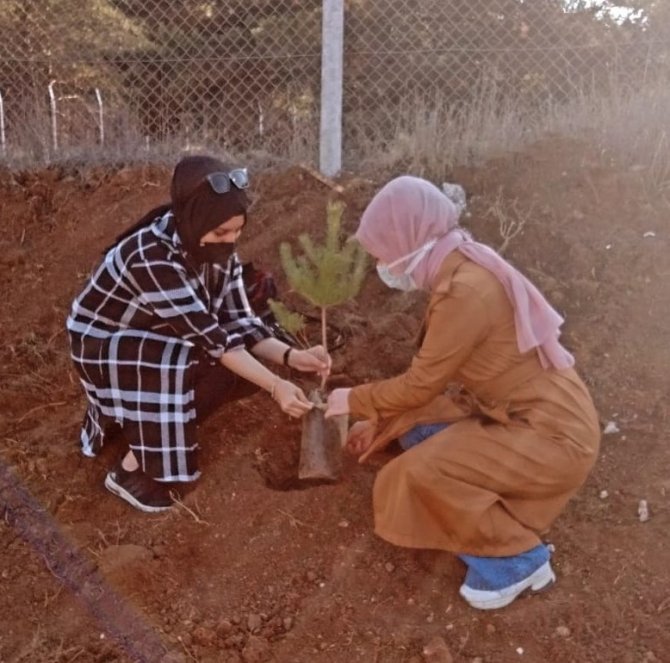 100 Fidan Toprakla Buluştu