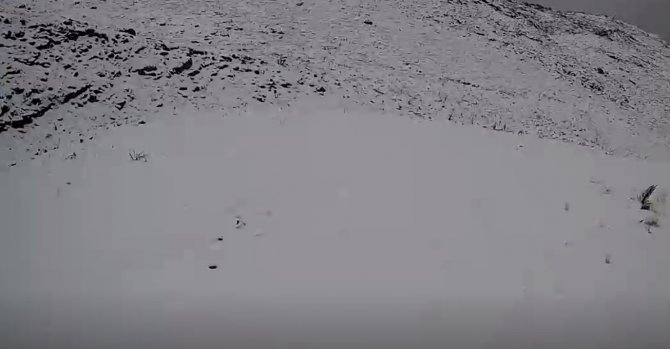 Denizli’de Yılın İlk Karı Toprakla Buluştu