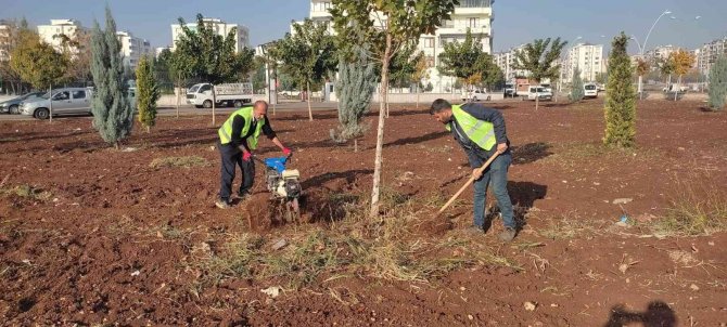 Bağlar Belediyesi, Çok Amaçlı Park Faaliyete Koydu