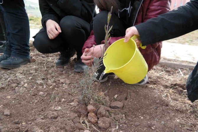 Öğretmenlerine Bir Çiçek Yerine Çiçek Bahçesi Hediye Ettiler