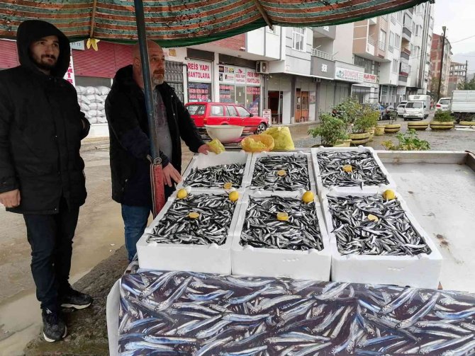 Hava Koşulları Hamsiyi Etkiledi