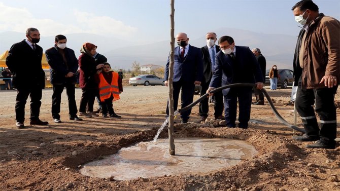 İ̇nönü Üniversitesinde Yeni Açılan Bulvar Ağaçlandırılıyor