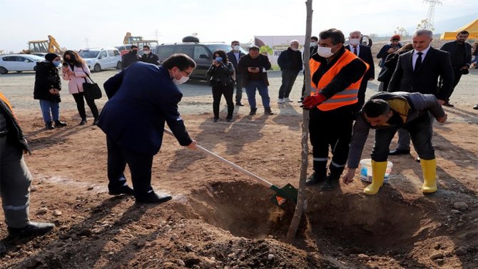 İ̇nönü Üniversitesinde Yeni Açılan Bulvar Ağaçlandırılıyor