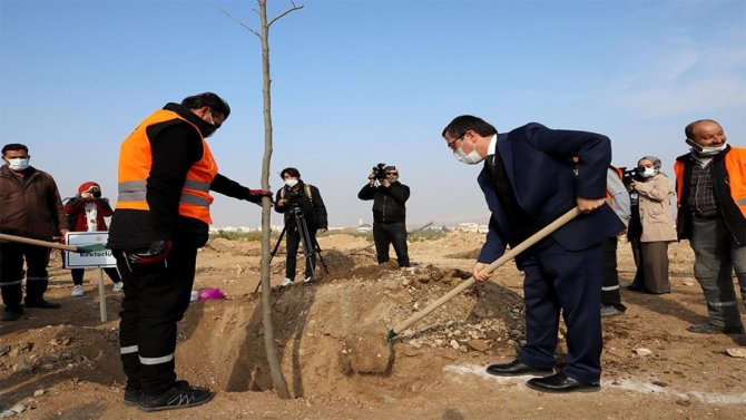 İ̇nönü Üniversitesinde Yeni Açılan Bulvar Ağaçlandırılıyor