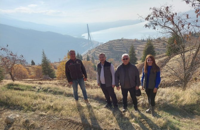 Kömürhan Köprüsünün İki Yakasına 55 Bin Adet Fidan Dikilecek