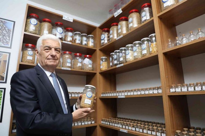 Büyükşehir Yerel Tohum Merkezi Projesi’ne Ödül