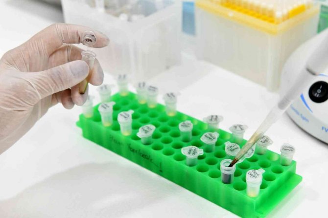 Ankara’da Ücretsiz Sma Testi İçin Bin 911 Çift Başvurdu