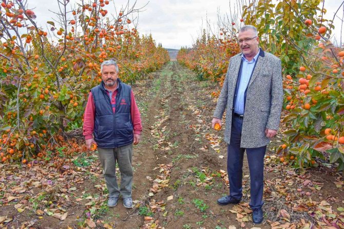 Karacabey’e Alternatif Tarım Modeli