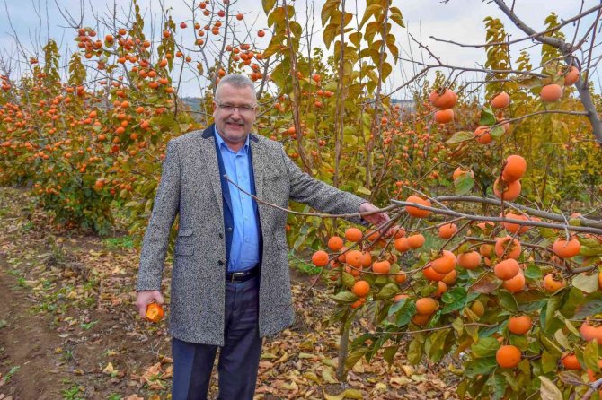 Karacabey’e Alternatif Tarım Modeli