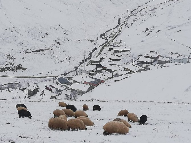 Bayburt Yağan Karla Beyaza Büründü
