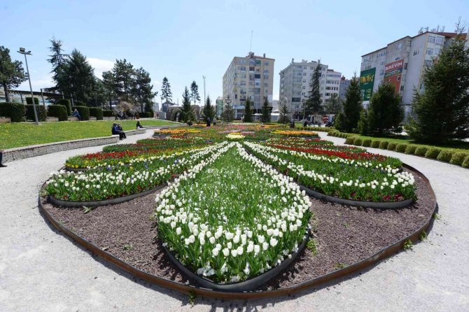 Çorum 150 Bin Lale Ve Sümbülle Donatıyor