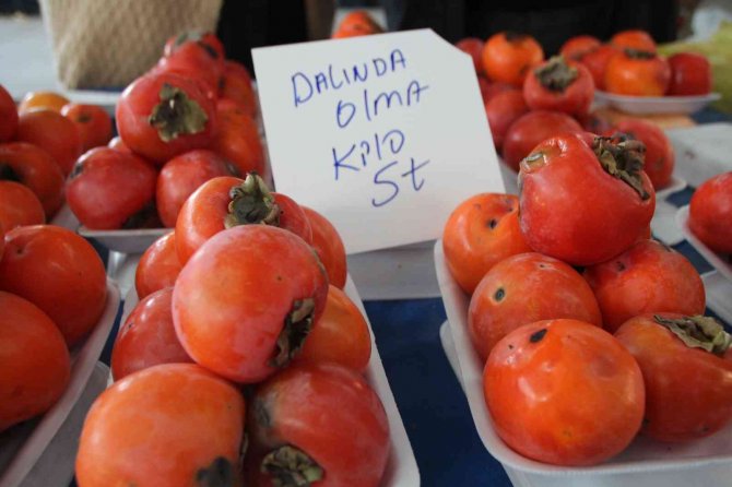 Şifa Deposu Üründe Talebe Yetişemiyorlar