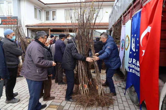 Harmancık Ayva İle Markalaşacak