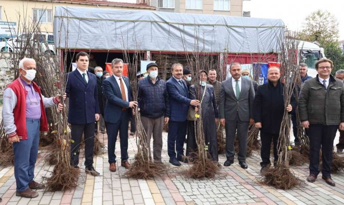 Harmancık Ayva İle Markalaşacak