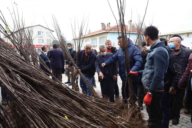 Harmancık Ayva İle Markalaşacak