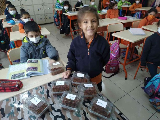 Minik Öğrenci Sokak Hayvanlarını Unutmadı