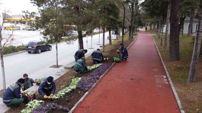 Çorum 150 Bin Lale Ve Sümbülle Donatıyor