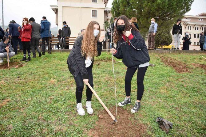 Öğretmenler Anısına Hatıra Ormanı Oluşturuldu