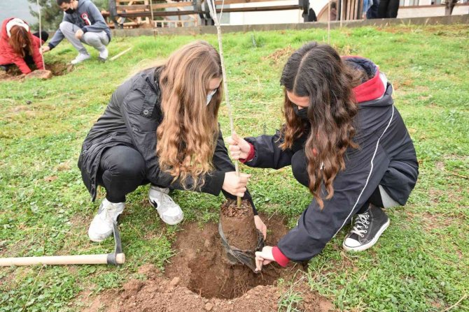 Öğretmenler Anısına Hatıra Ormanı Oluşturuldu