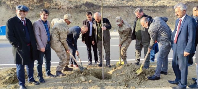 Esendere Belediyesi 500 Fidan Dikti