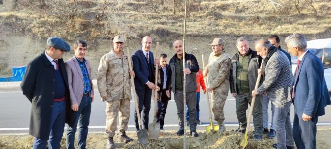 Esendere Belediyesi 500 Fidan Dikti