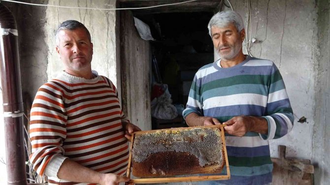 Şifa Deposu Püren Balının Kilosu 125 Lira