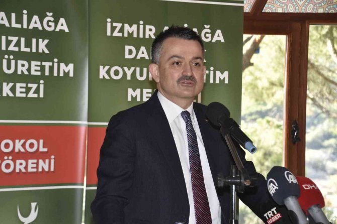 Bakan Pakdemirli’den Süt Fiyatlarına İlişkin Açıklama: "Çalışmalarımız Hazır"