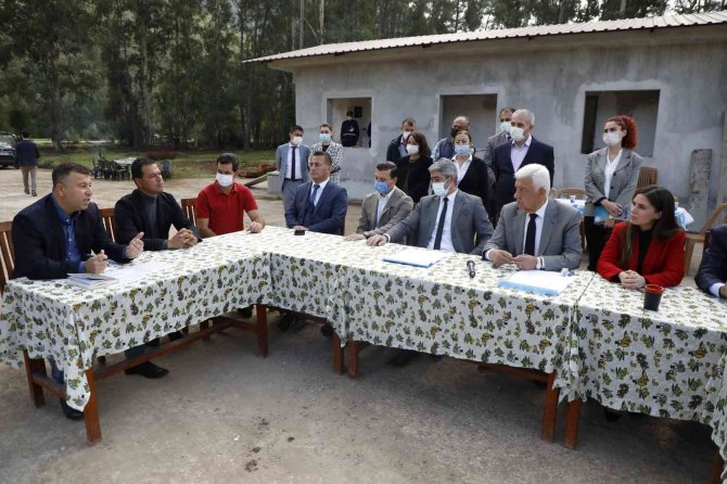 Marmaris’e Tıbbı Aromatik Bitkiler Koleksiyonu Bahçesi