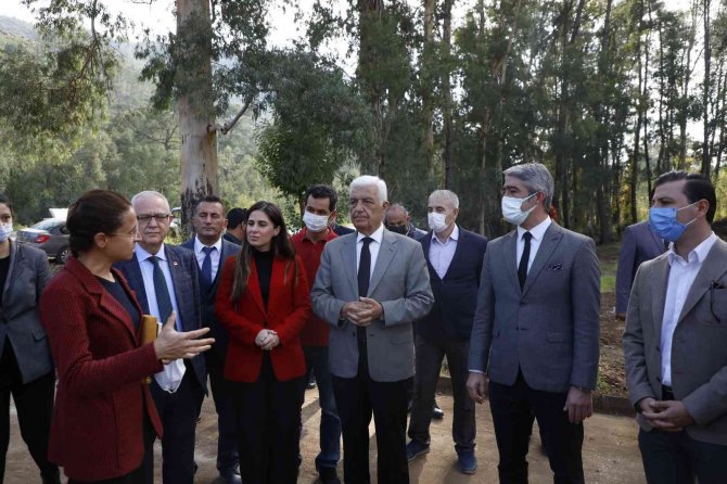 Marmaris’e Tıbbı Aromatik Bitkiler Koleksiyonu Bahçesi