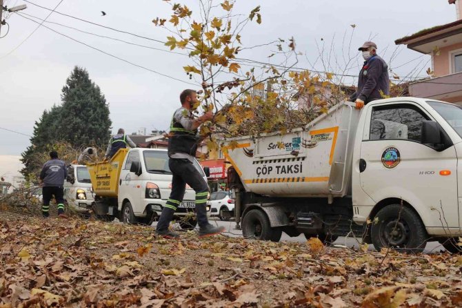 Serdivan Belediyesi’nden Sonbahar Mesaisi