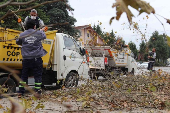 Serdivan Belediyesi’nden Sonbahar Mesaisi