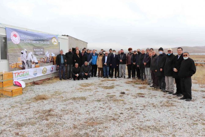 Kırşehir’de "Anadolu Arı Islahı Projesi" Tanıtım Toplantısı Yapıldı