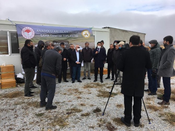Kırşehir’de "Anadolu Arı Islahı Projesi" Tanıtım Toplantısı Yapıldı